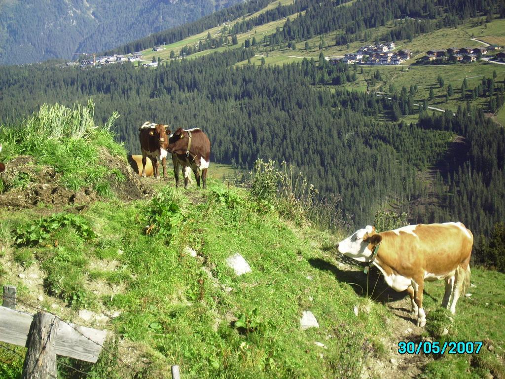 Chalet Anna Appartment Uttendorf Dış mekan fotoğraf