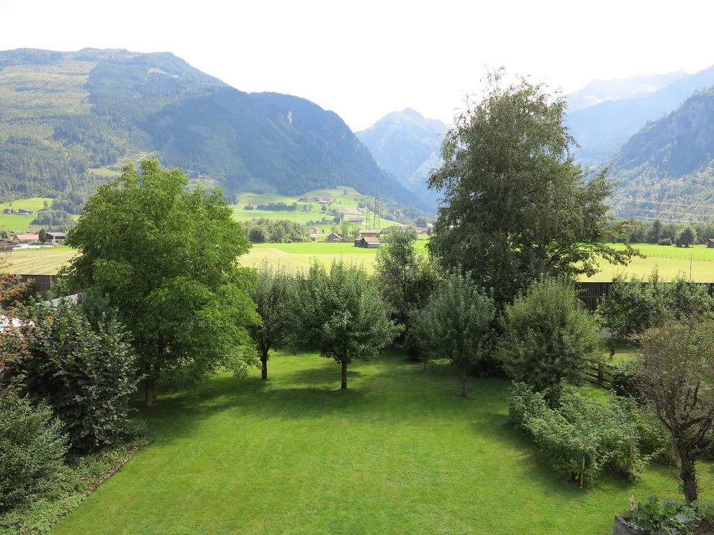 Chalet Anna Appartment Uttendorf Dış mekan fotoğraf